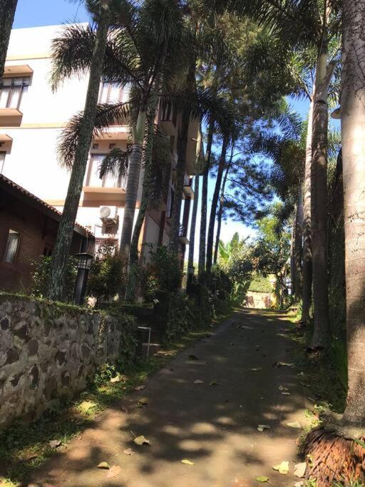 Villa Naumi 万隆 外观 照片